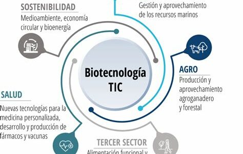 El sector biotecnológico ofrece oportunidades de inversión prometedoras más allá de las vacunas, enfocándose en la terapia génica y edición de genes.