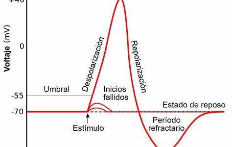 Descubre el potencial escondido en acciones a la baja y aprovecha el camino hacia la recuperación con estrategias inteligentes y análisis detallado.