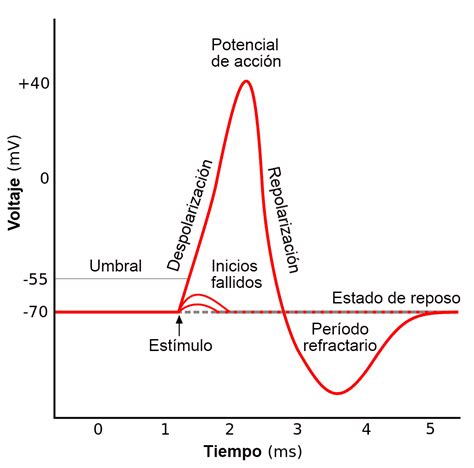 Descubre el potencial escondido en acciones a la baja y aprovecha el camino hacia la recuperación con estrategias inteligentes y análisis detallado.